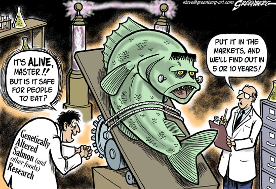 Salmon: A Keystone Species - Pacific Wild