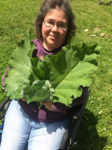 Joanne Bauman herbalist comes to Door County