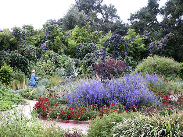 Natural plant and herb allies are here to help nourish, support and comfort your physical and emotional health.